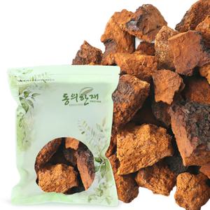 동의한재 최상품 100% 시베리아 러시아 차가버섯 1kg