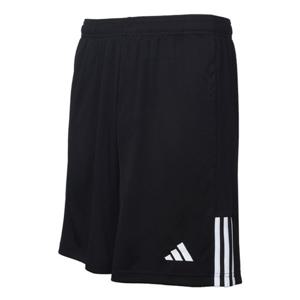 세레노23 쇼트(IR9736)