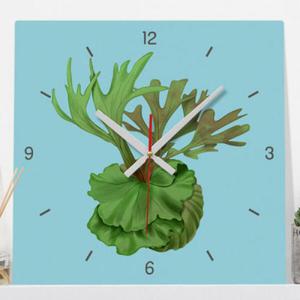 아트박스/꾸밈 cj708-보테니컬아트(박쥐란)_인테리어벽시계