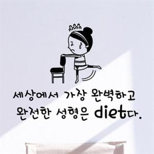 아트박스/낭만창고 idc322-완전한 성형은 diet