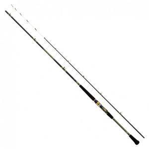 다이와(DAIWA) 애널리스터 73 30-180Q