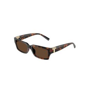 티파니앤코 선글라스 0TF4226U 80153G Brown