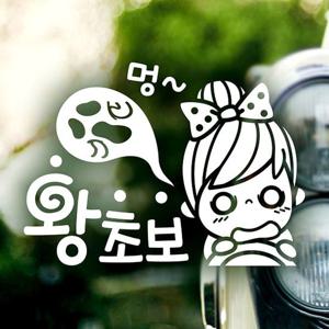 멍 왕초보 초보운전스티커-반사