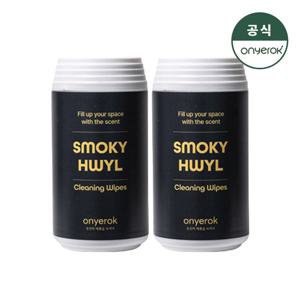 온예록 올인원 청소 세정 롤티슈 45매 2개 스모키휠