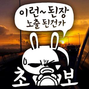 이런 된장 노출된건가 초보운전스티커-반사(B타입)