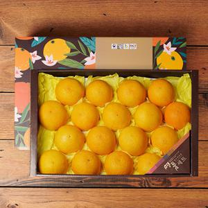 제주 황금향 4.5kg 15-19과 과일선물세트
