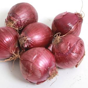 [팜쿡]  자색 국내산 양파(대) 10kg