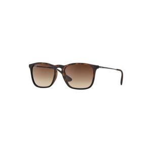 레이밴 선글라스 RB4187 856 13 Havana