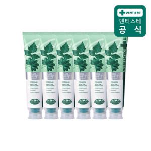 덴티스테 신제품 불소치약 플러스화이트 프로 160g 6개