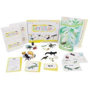 (가베가족)KS4252 몬테소리플러스 라이프사이클 피규어 옐로우