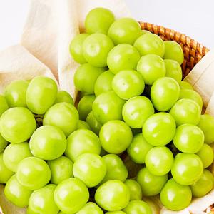 [맛딜]달콤아삭 고당도 샤인머스켓 2kg(5-6수)