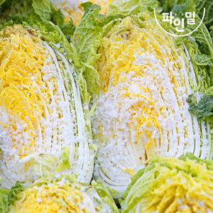 [예약배송] HACCP 해남 절임배추 20kg(7~9포기) / 마트납품용