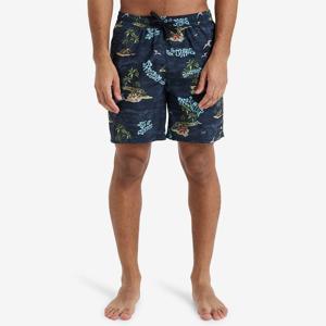 [퀵실버] 에브리데이 스트레이트 17인치 발리쇼츠 QF21BS018_KVJ