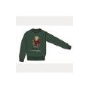 POLO RALPH LAUREN Polo Ralph Lauren Sweaters Green 322981261001