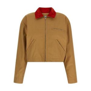 아페쎄 A00256534 Brown