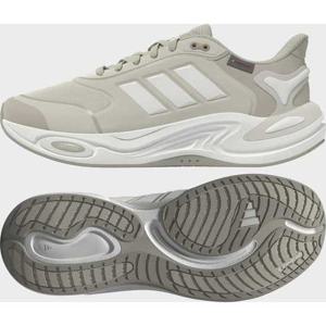 [아디다스] 클라이마웜 슈즈(KJ3774)