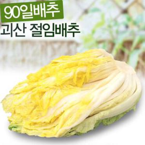 [지정일배송] 90일키운 청정 괴산 절임배추 20kg