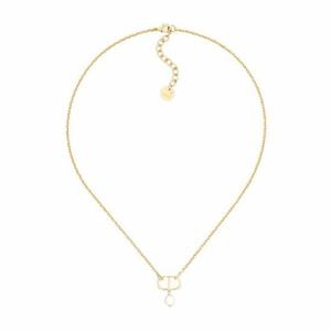 (명품) 디올 Petit CD 목걸이 N1390PTCR