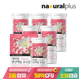 에버핏 편안해질 여성 질유래 유산균 6통/ 여성유산균