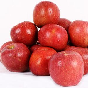 [25년 햇사과] [이슬마루] 껍질째먹는 세척사과 부사 5kg(21~23과)