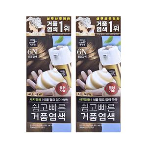 미쟝센 쉽고 빠른 거품염색 6N 밝은갈색 2개팩