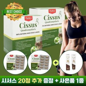 (2박스)파이오라 Paiora 시서스 추출물 1000mg 씨서스 농축 분말 츄어블 90정 6개월분 + 뉴질랜드 인기사은품 추가증정