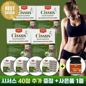 (4박스)파이오라 Paiora 시서스 추출물 1000mg 씨서스 농축 분말 츄어블 90정 12개월분 + 뉴질랜드 인기사은품 추가증정