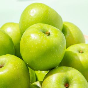 [더조은] 청사과 아오리 사과 가정용 5kg 23-28과