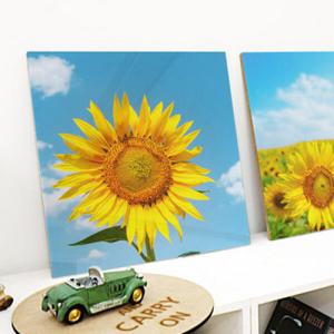 아트박스/꾸밈 cs360-아크릴액자_활짝핀해바라기시리즈2