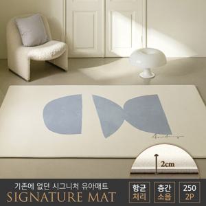 아소방 2P 시그니처 유아 놀이방매트 시에라 250(250x150x2cm)