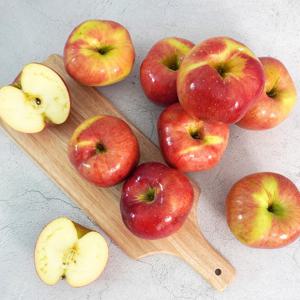 [더조은] 아리수 사과 주스용 6kg 랜덤과