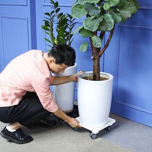 카페 홈가드닝 물받침 이동식 화분받침대 사각타입 소