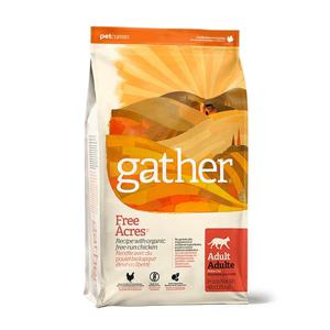 게더 프리에이커 치킨 레시피 고양이 3.63kg+사료샘플400g