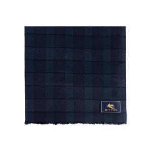 25 FW 에트로 체크 울 캐시미어 혼방 스카프 MATA006099TQB78 TP441089089
