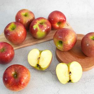 [더조은] 아리수 사과 주스용 3kg 랜덤과