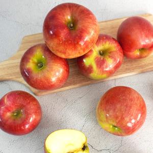 [미식한가] 아리수 사과 가정용 3kg 14-16과