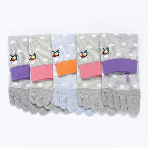 AP6904 아놀드파마 여성 편직 중목 발가락 양말 5족