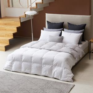 [소프라움] 모브2 시베리아산 호텔 구스 차렵이불 Q