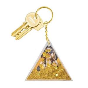 아트박스/원더스토어 [도이] 아쿠아 골드 열쇠고리 자동차 키링