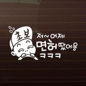 아트박스/제제데코 저 어제 면허땄어용ㅋㅋㅋ_초보운전 [자동차