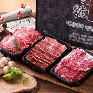 [산들한우] 1등급 구이선물세트 2호 600g(등200g+채200g+갈200g)