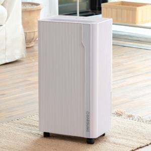 대성쎌틱 최대 12L 제습기 DSD-4209W 화이트