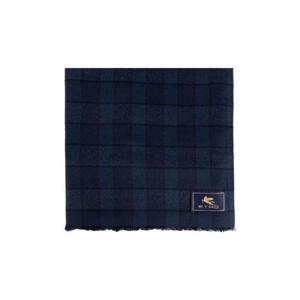 에트로 체크 로고 패치 스카프 MATA006099TQB78 S9883 TP946499590