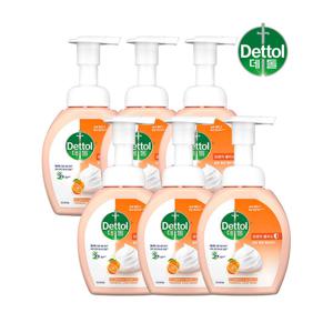 데톨 오렌지 포밍 핸드워시 250g x6개 손세정 핸드솝 거품비누