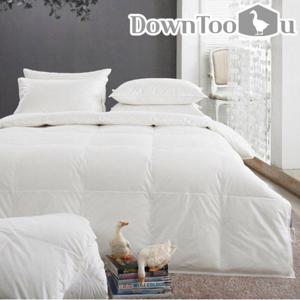 다운투유 폴란드 구스이불K 0.9k 사계절용