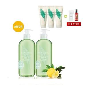 [엘리자베스아덴]그린티 샤워젤 메가 500ml 더블 세트(그린티 바디크림 100ml 3개 추가증정)