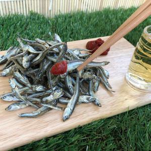 상급 고바멸치 500g 무료배송 멸치 안주멸치 볶음멸치