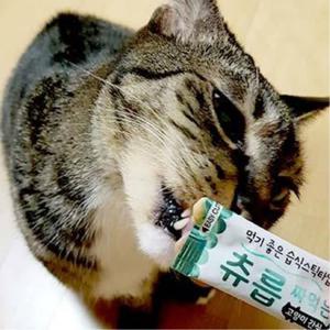 음식 츄릅 짜먹는 고양이 간식 츄르 참치n연어 60g 먹이 반려동