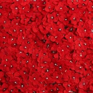 포토존 월데코 조화 꽃벽 FL19 플라워월 조화벽장식 벽장식조화