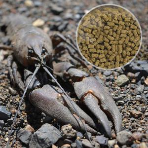 크러스트 50g (갑각류용)